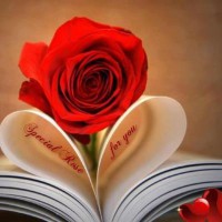 /album/fotogaleria/a550399-132306570267952-488537001-n-jpg/